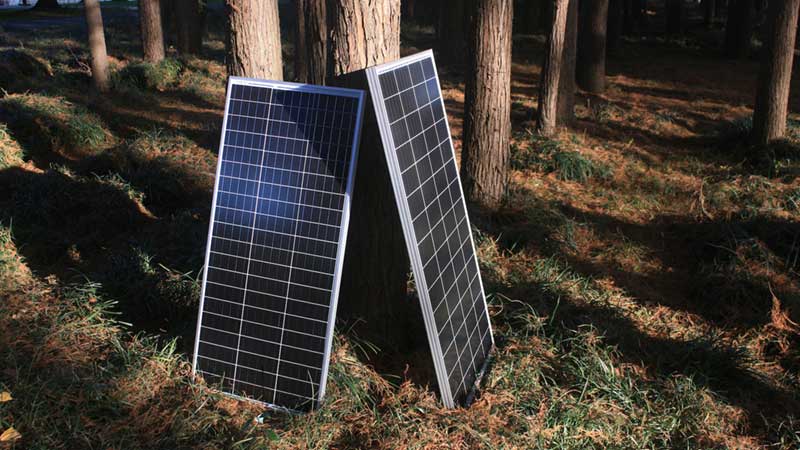Hur återvinns solpaneler solpaneler i skogen mot ett träd